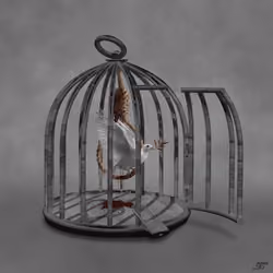 Freedom is not punishable