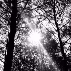 78926493058180902224951420418338520494143290950102848006872373421032530247681