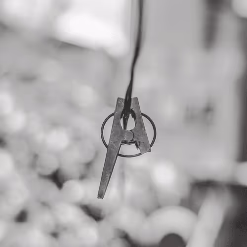 Untitled Collection #109914649