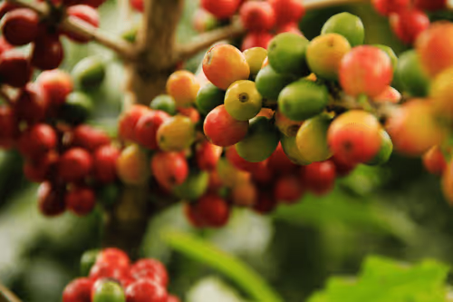 Item #41491809699188317512939992612718576864082124229703383573220974113909909749761 Media