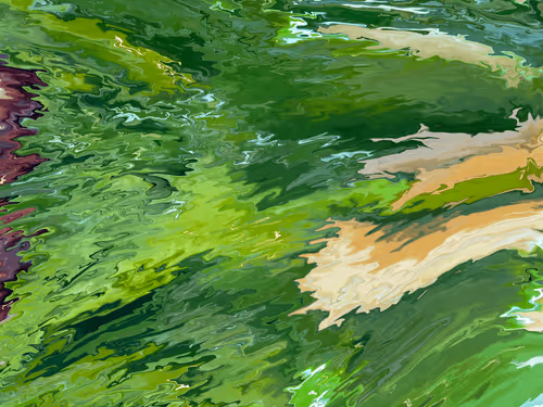 Item #4264372068608796348933295277043802039195631688577897058578155876395908071428 Media