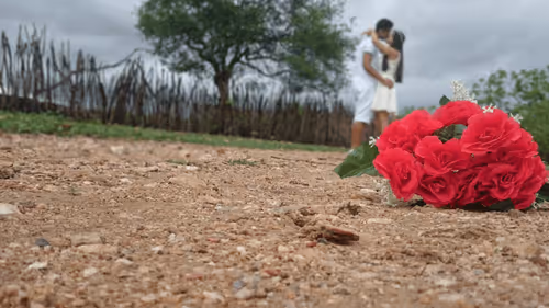 Untitled Collection #179491734