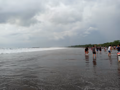 Item #68356916031059924921230192194445693761239192572255149021970435650402763407361 Media