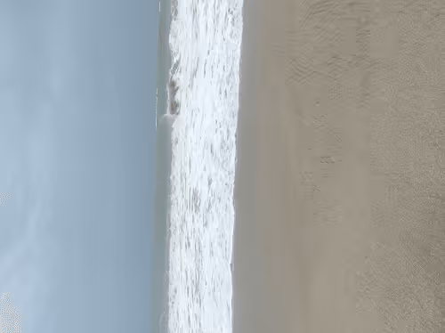 Untitled Collection #48474988