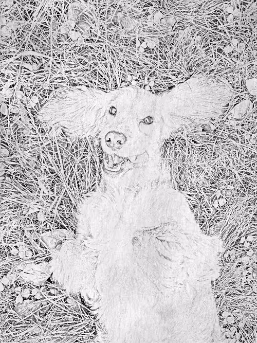 Item #104571871624713793639651805658793486494192065920849225127728493727701929033729 Media