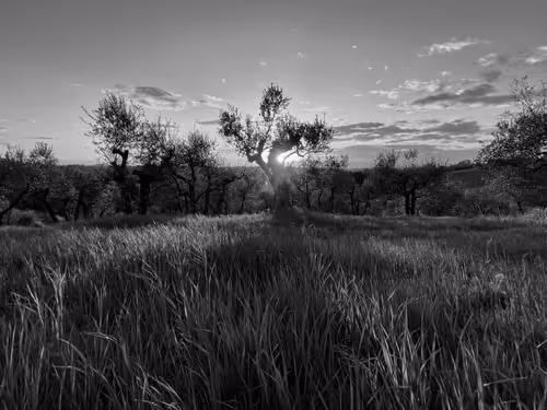 Item #44700108579651333138667542629820837396884608340507399849221760757140889272321 Media