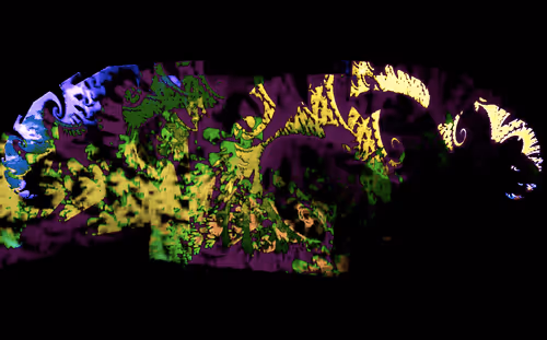 Item #26740396732586878227827672942318880064920952798649786383873278590331192868865 Media