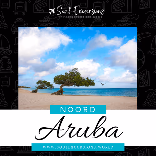 Item #66062759259298317495242665808143605487960305521075017354073139619703826677761 Media