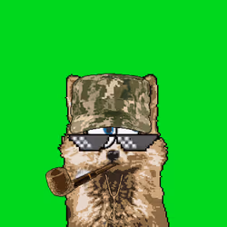 13313825994980351745506845005889443412334519340224243119891181192507266433025