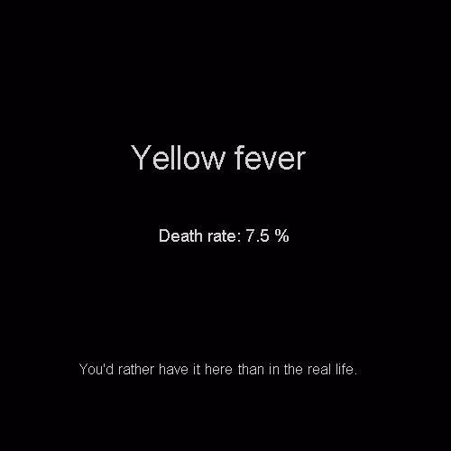 Item #81808085032476359797455255547863298923837726005960725874573045529926403359720 Media