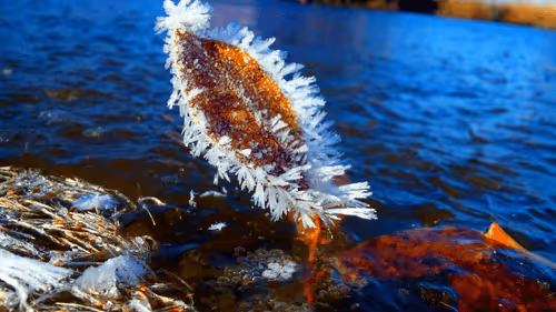 Item #55297223282317197917185791022658401724226762533250968792427961475160420122625 Media