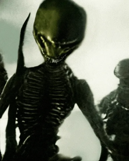 Item #63477199864332346876047430691250883279803745216811129316337883000336721903617 Media