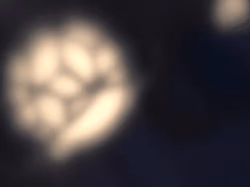 Item #102965406545091684204771203322732820123837843235652182503813694808708836492264 Media