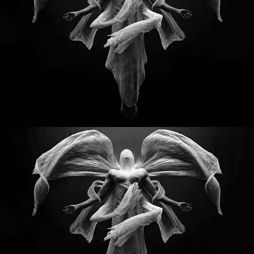 Untitled Collection #78175603