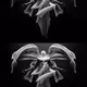 Untitled Collection #78175603