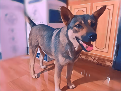 Item #74122138759525378795667626270866148487737655975912799548892275891108822646785 Media