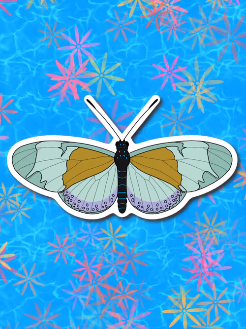 Item #26695375726130491819846042962505402337385115040526357390892607912717865451521 Media