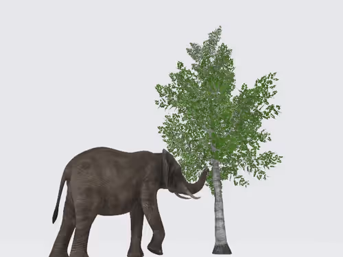 Item #10025638587416761334212079204996087241167674853821714586376957215376484073473 Media