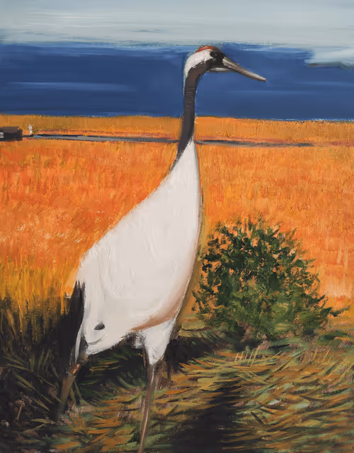 Item #64318745411404062669200330514642249182749671986222791980212163654003583877420 Media