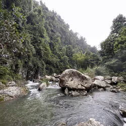 Torro Negro River, Puerto Rico in the rain