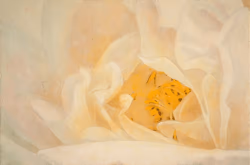 Item #72925079646173943955019179802066495558357068765344184678483369737597692674058 Media