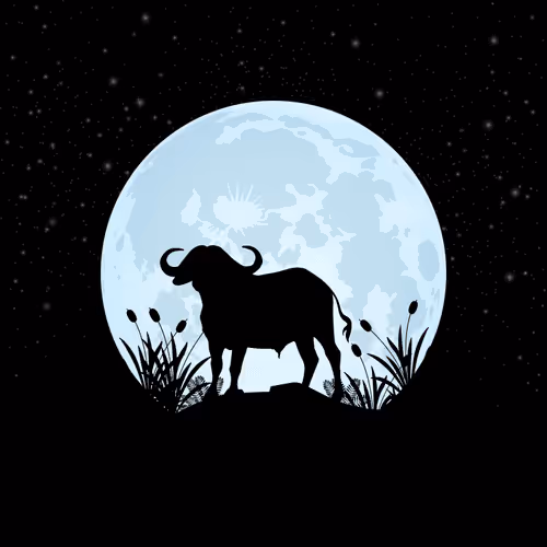 Animals By The Moon #63