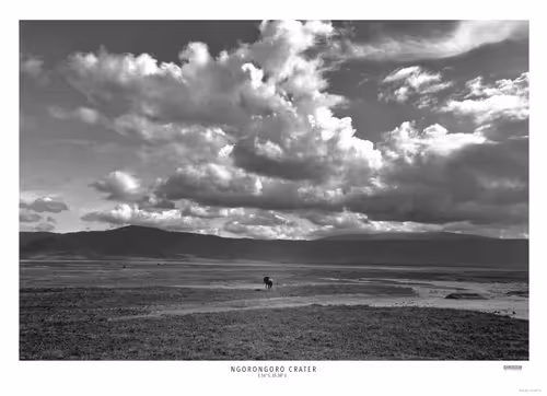 Item #14498336299239483503881613585431548073897809246895926655081836948407694917633 Media