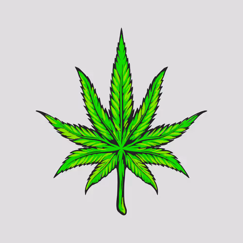 Crypto Nugzz