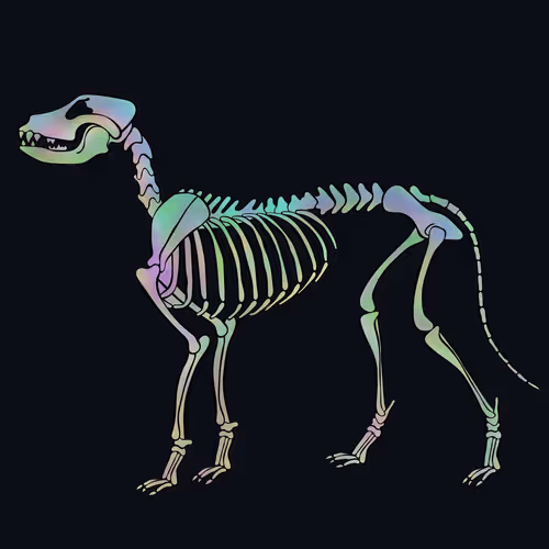 Item #66115251428437251400949335005857765940906863007353817121707627060526592294913 Media