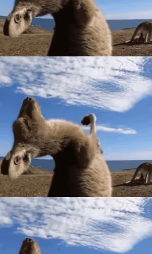 Untitled Collection #57070173