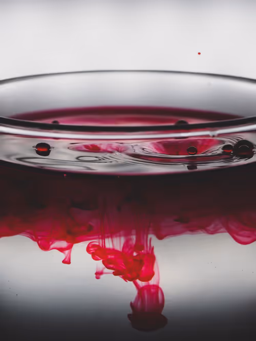 Item #39391070493116977564899321791408150162796374052111424108014134432642476539905 Media