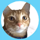 36383620159570865932656878930770165762469096320658300272737019993148245409793