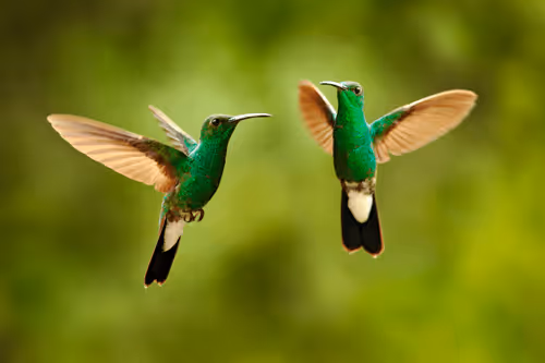 Item #25621925064279012681246301446131385931262547461970292834419122499269672566785 Media