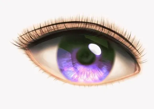 Item #42950694591796666568266939449637019646211598636303907727097118090294779183105 Media