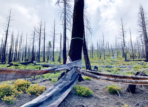 Item #9783384603778918420145046153899718198103781480462481698299604409351330070828 Media