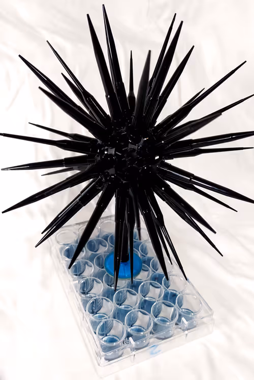 Item #108955583872739655741702358868652756405273862791069305959596897674219088773130 Media