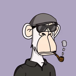 37478633902359635568087347059982278741233741960673580295743924135816427732993