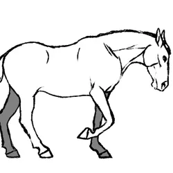 Stallion 8