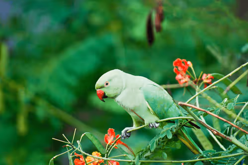 Item #10009359903282094537398543197541078073067770590855434614987939768927988482058 Media