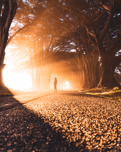 Item #100375414117771425123863545635124637124011698262465237520256750806030950072321 Media