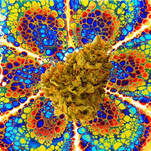 Item #13955282856406335165414100891374623718709547313428947888299033957156322803722 Media