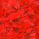 100062727409250056565533728098190792752462400696936505274345228741618599723009