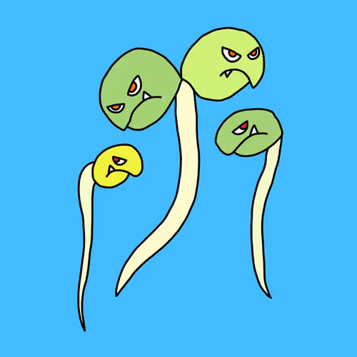 Item #66106791719940436205074516908447046957351153483916851840844066883518110629889 Media