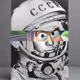 76200680520510128797240024215104610848647524497629970206059350672358571507713