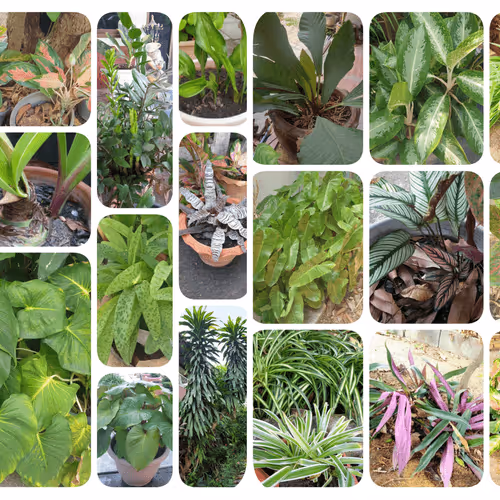 Item #22722401857743691484723539777141309434903807226693424859473380480400391929857 Media