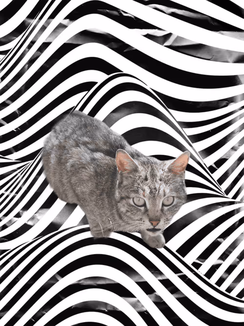 Item #102650025238985064889532626323507420633017859616961165632132729708812129271809 Media