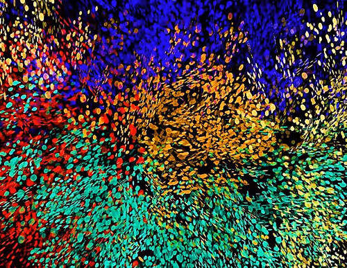 Item #97667747305328880677719999642930270019019806513031101726286666963129691275265 Media