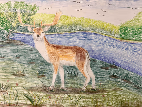 Item #113910265054362226902654873976491034575835637448106801211690350977793298268161 Media