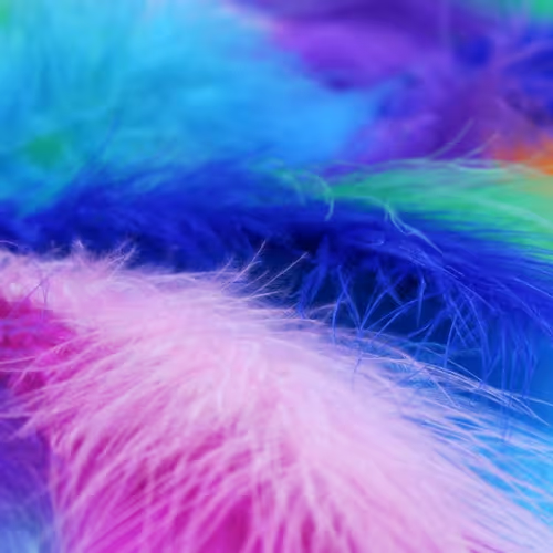 Untitled Collection #205950881