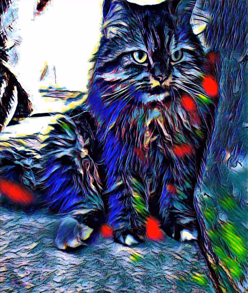 Item #29510731910910609866946623002702956419421614825625903317173568050560587792385 Media